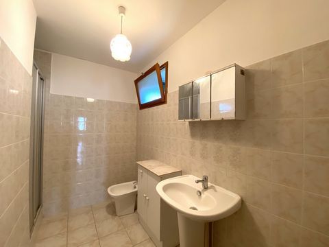 photo no. 16