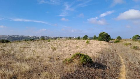 Situado nos limites da localidade do Zambujal em Mafra, este terreno rústico com 3.750 m² encontra-se inserido em Espaços Agrícolas Complementares, conforme o Plano Diretor Municipal (PDM) em vigor. De topografia plana e com excelente exposição solar...