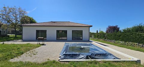photo no. 11