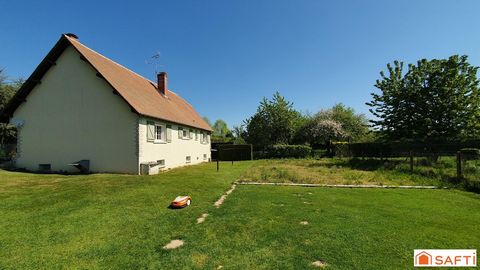photo no. 3