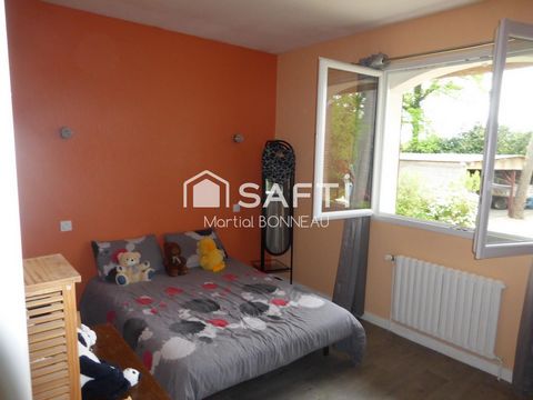photo no. 12