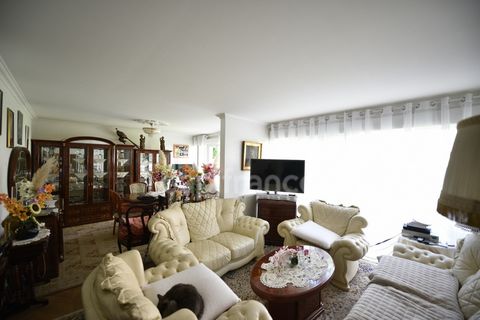 photo no. 1