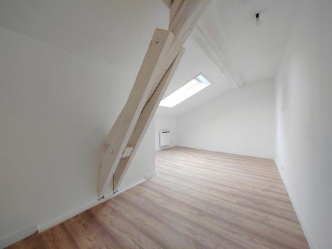 photo no. 12