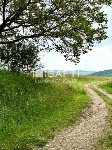 photo no. 2