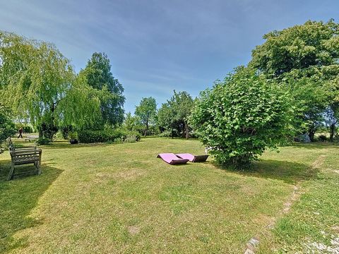 photo no. 5
