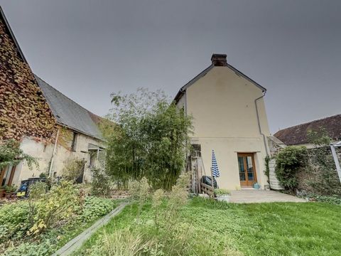 photo no. 11