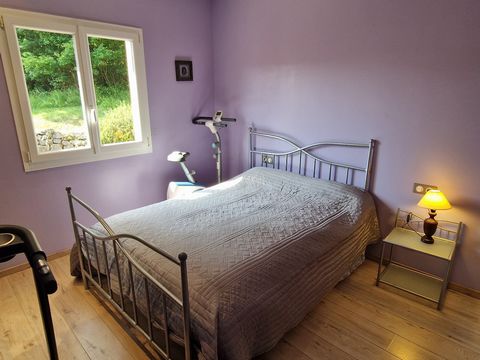 photo no. 15