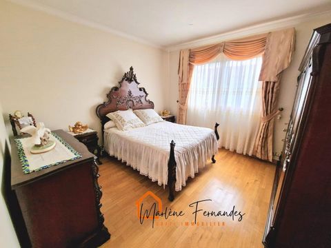 photo no. 11