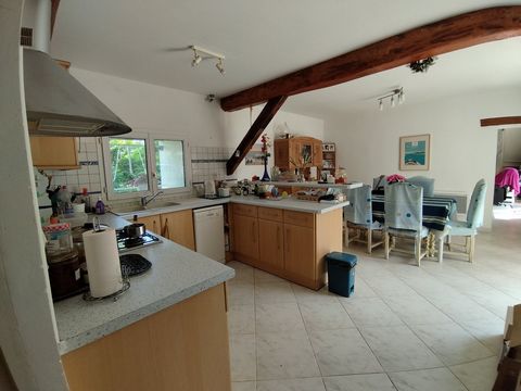 photo no. 11