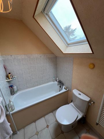 photo no. 10
