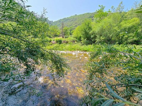 photo no. 13