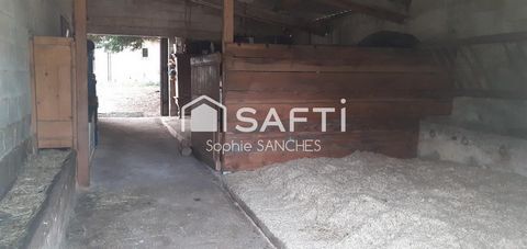 photo no. 14