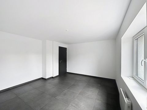 photo no. 6