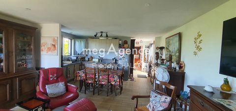 photo no. 13
