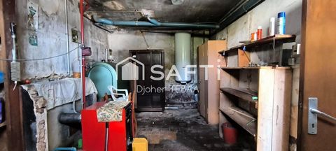 photo no. 9
