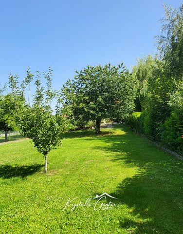 photo no. 15