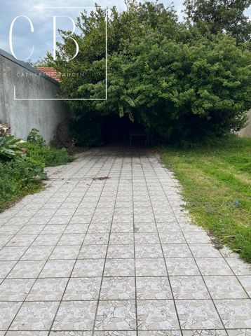 photo no. 2