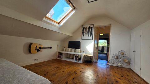 photo no. 17