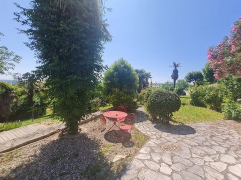 photo no. 7