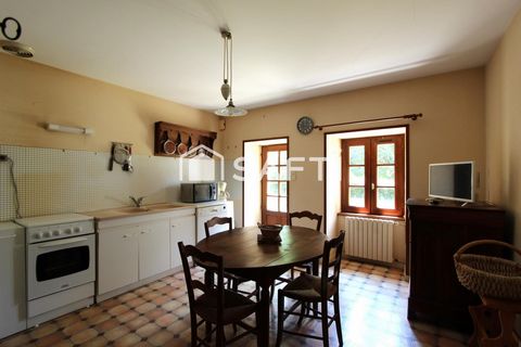 photo no. 4