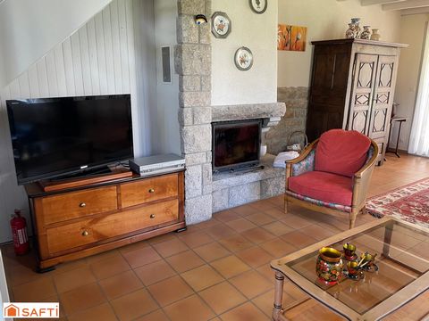 photo no. 10