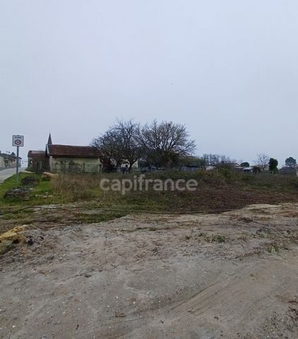 photo no. 2
