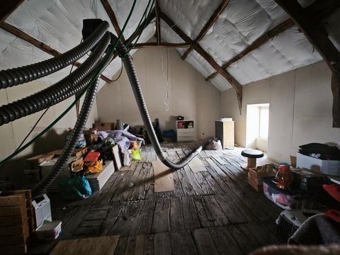 photo no. 8