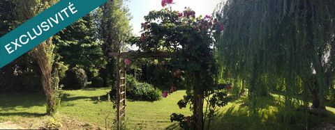 photo no. 13