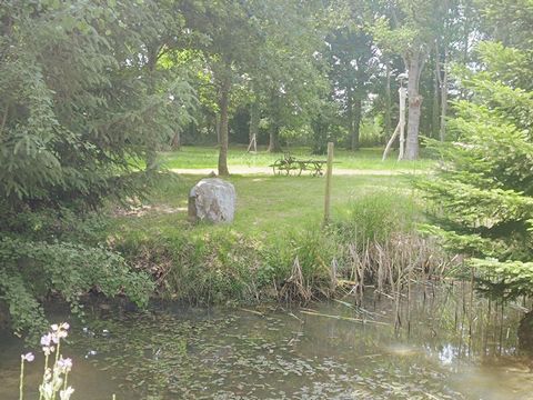 photo no. 19
