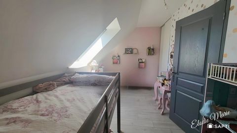 photo no. 16