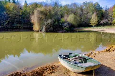 ARIEGE PROPRIETE FORESTIERE 54 HA