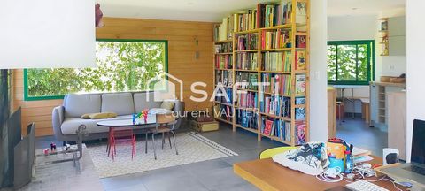 photo no. 8