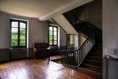 photo no. 7