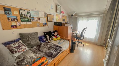 photo no. 18