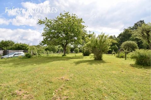 photo no. 2