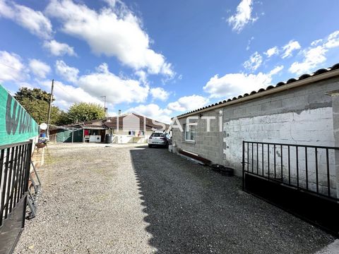 photo no. 10
