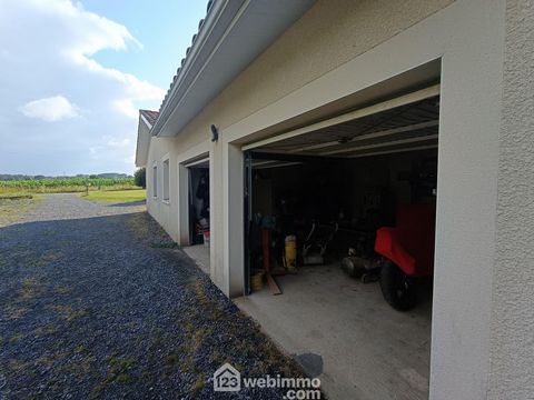 photo no. 19