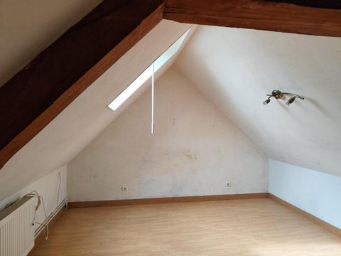 photo no. 9