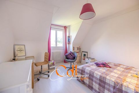 photo no. 13