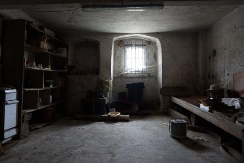 photo no. 11