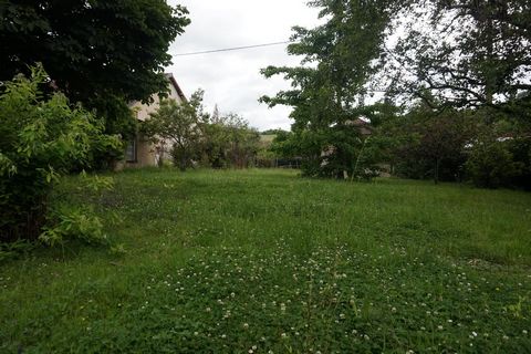 photo no. 15