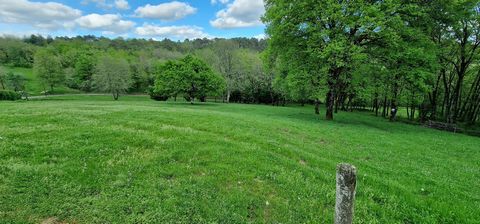 photo no. 23
