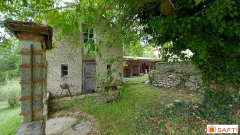 photo no. 13