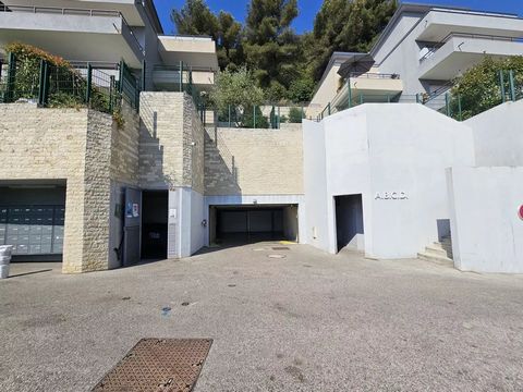 photo no. 18
