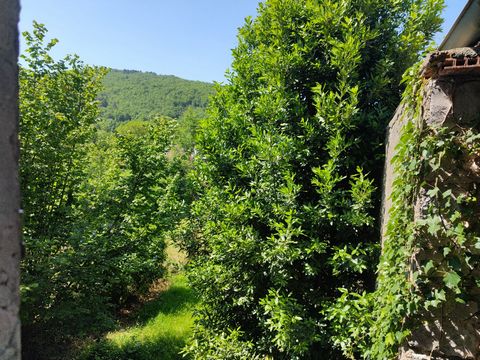 photo no. 10