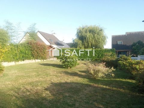 photo no. 11