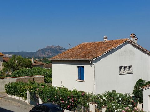 photo no. 1