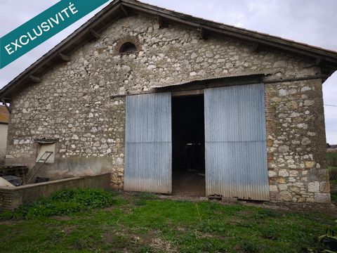 photo no. 5