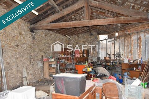 photo no. 16