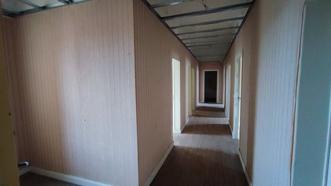 photo no. 20